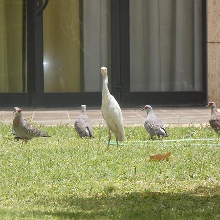 L'Amitie Hotel อึนจาเมนา ภายนอก รูปภาพ